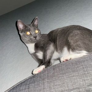 Meet your Posher, Taryn